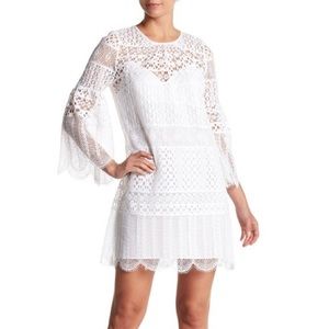 bcbg bell sleeve dress